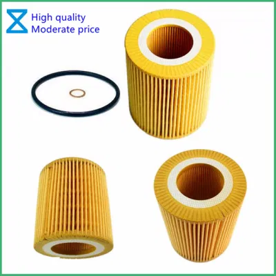 China Professional OEM Providing High Quality Oil Filter for BMW 3/5/7 Series